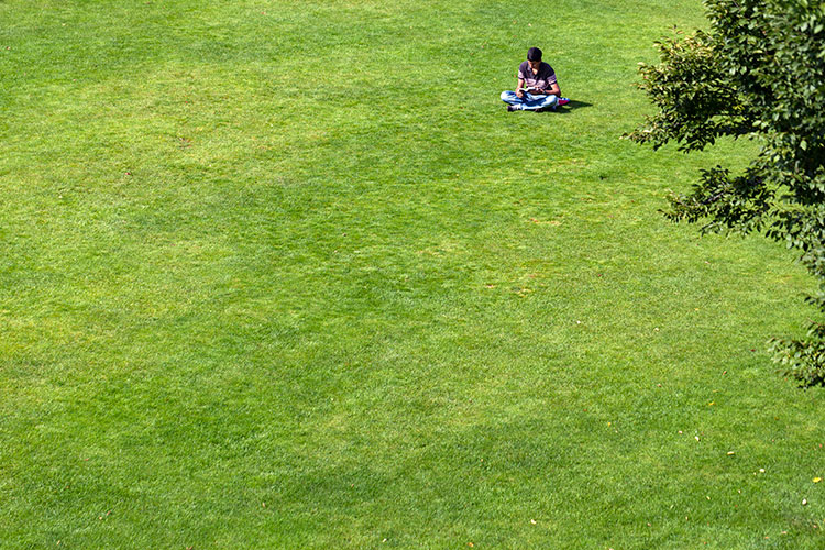 Lire tranquille  © Norbert Pousseur